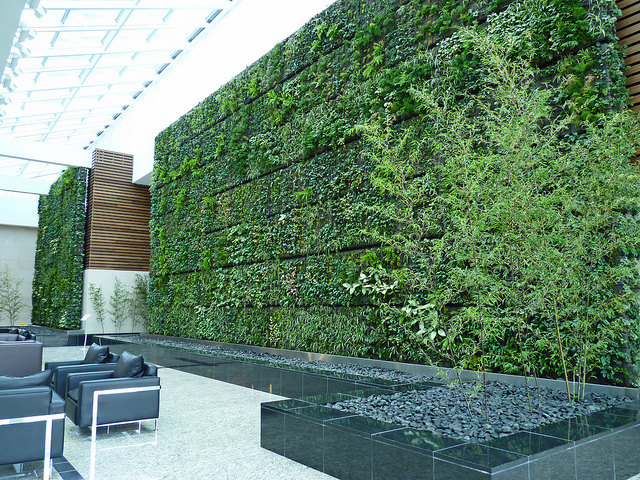 Don’t suffocate people with concrete and glass – add a living wall