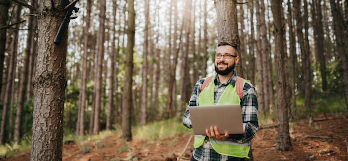 How Professional Tree Surgeons Maintain Healthy Landscapes